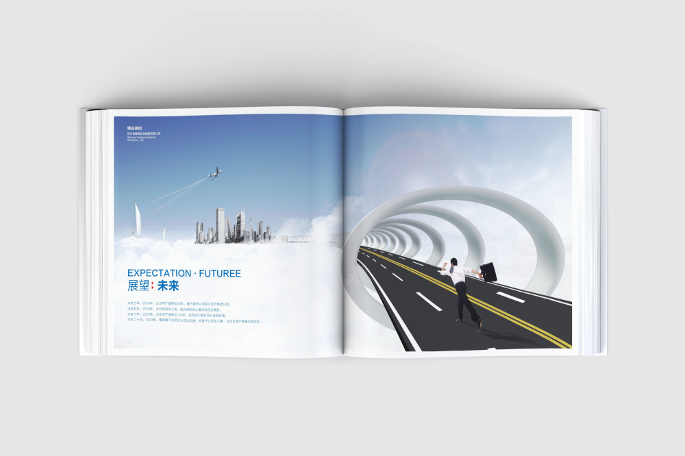 突泉县画册设计